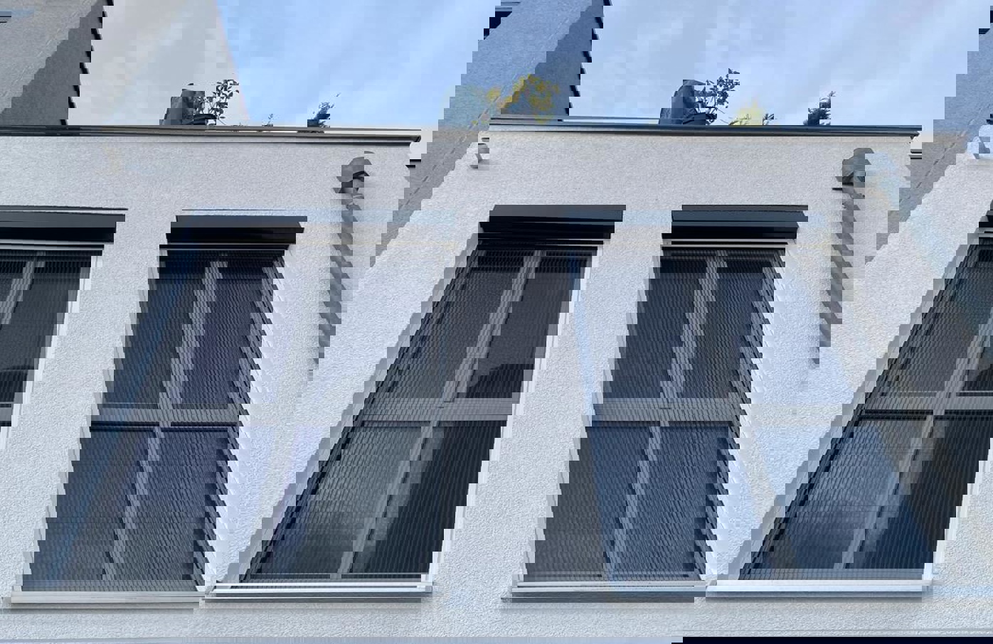 dsd